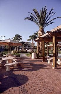Mainsail Tampa Extended Stay Eksteriør billede